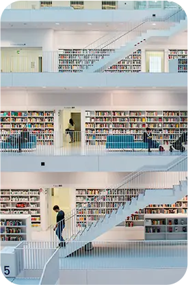 Nikita Nettoyage d'établissement scolaire