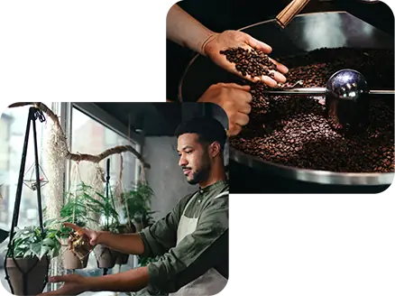 Maintenance - Nikita Nettoyage