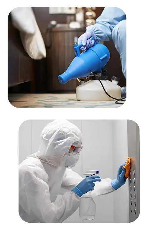 Nikita Nettoyage - Désinfection Coronavirus